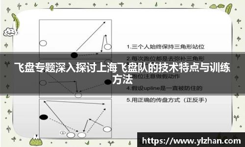 飞盘专题深入探讨上海飞盘队的技术特点与训练方法